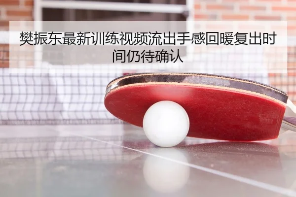 樊振东最新训练视频流出手感回暖复出时间仍待确认