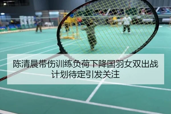 陈清晨带伤训练负荷下降国羽女双出战计划待定引发关注