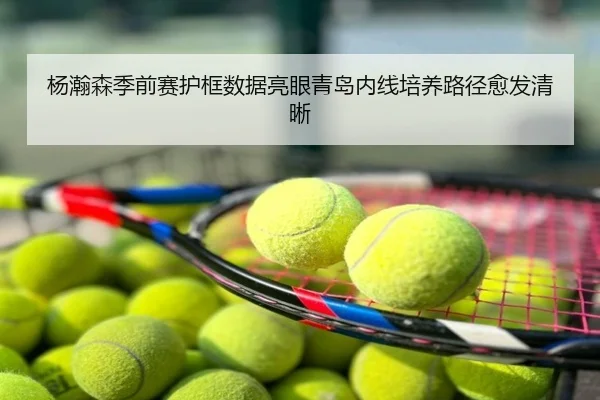 杨瀚森季前赛护框数据亮眼青岛内线培养路径愈发清晰